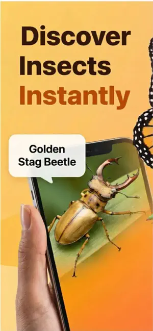 Bug Identifier screenshot 1