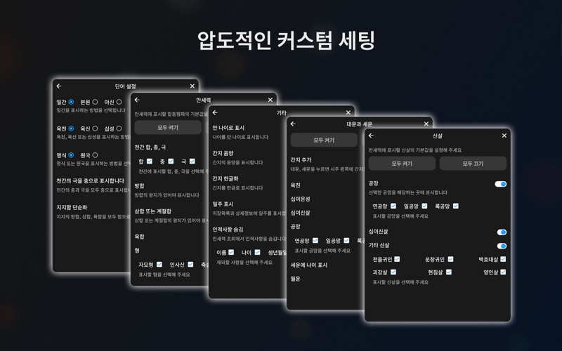 루시아 원 만세력 PC Pro app screenshot 3