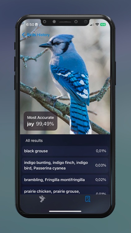 BirdSnap: Bird Identifier ID screenshot-4