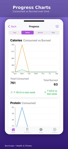BurnLoop screenshot