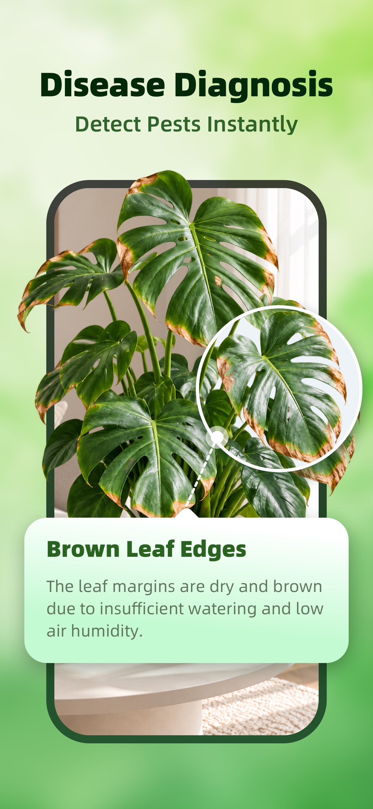 Screenshot 2 of Care Guide & Plant Identifier