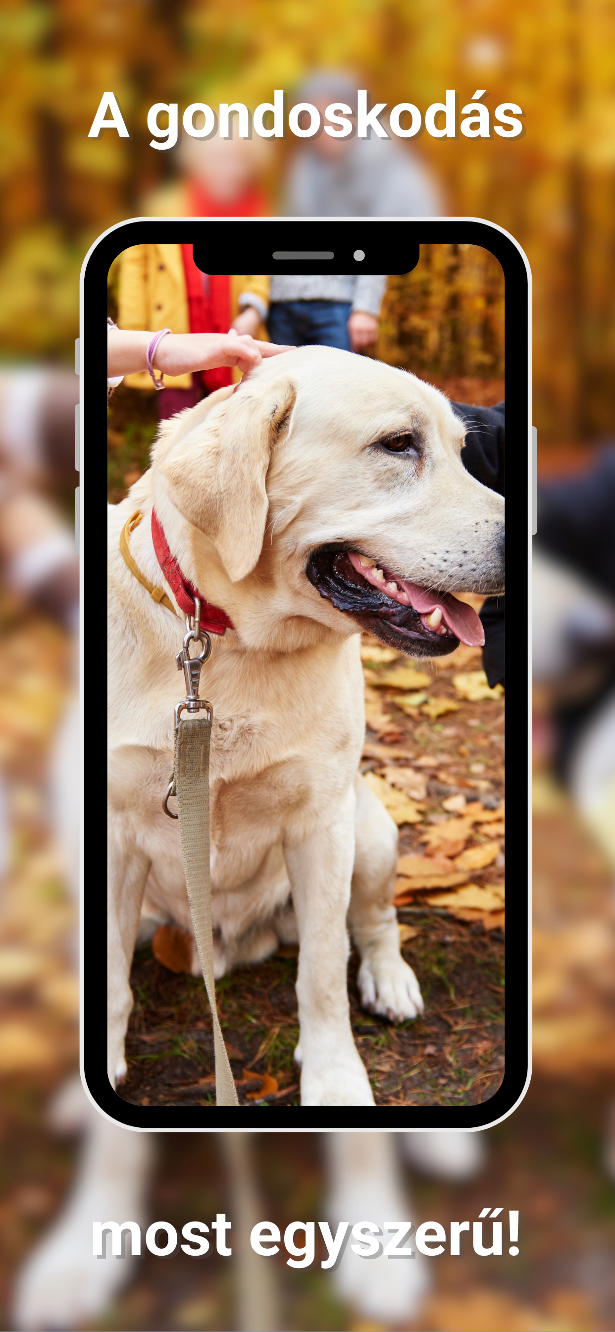 PETCITY App