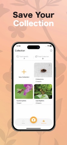 Insect ID: Bug ID Bug Finder screenshot