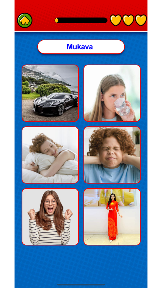 #8. Learn Finnish Flashcards Voca (iOS) By: Duc Tang Van