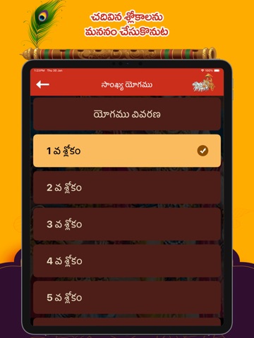 Bhagavad Gita Telugu ! iPad screenshot