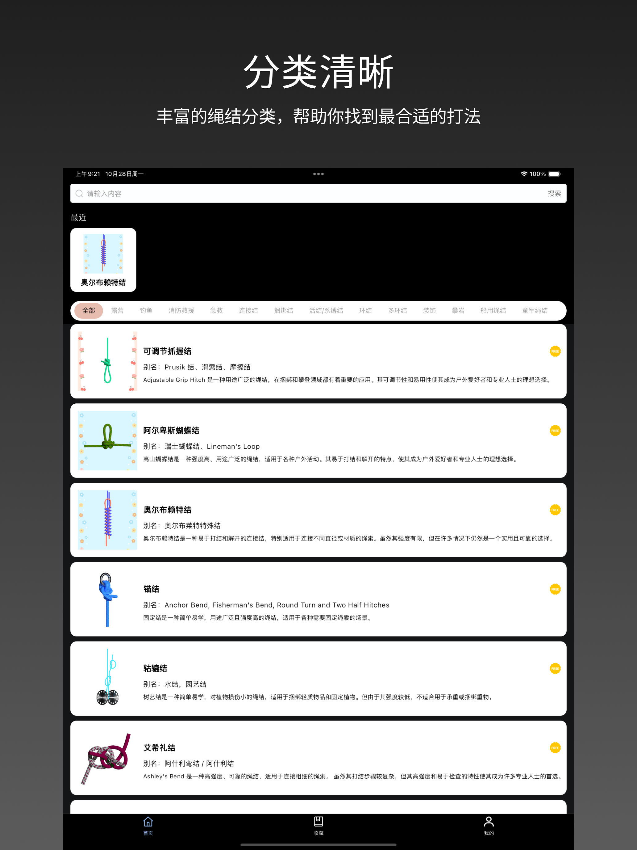 3D绳结