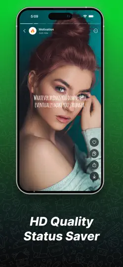 Capture d'écran de Status Save sur iPhone 5