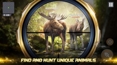 Shooting Clash: Animal World Screenshot