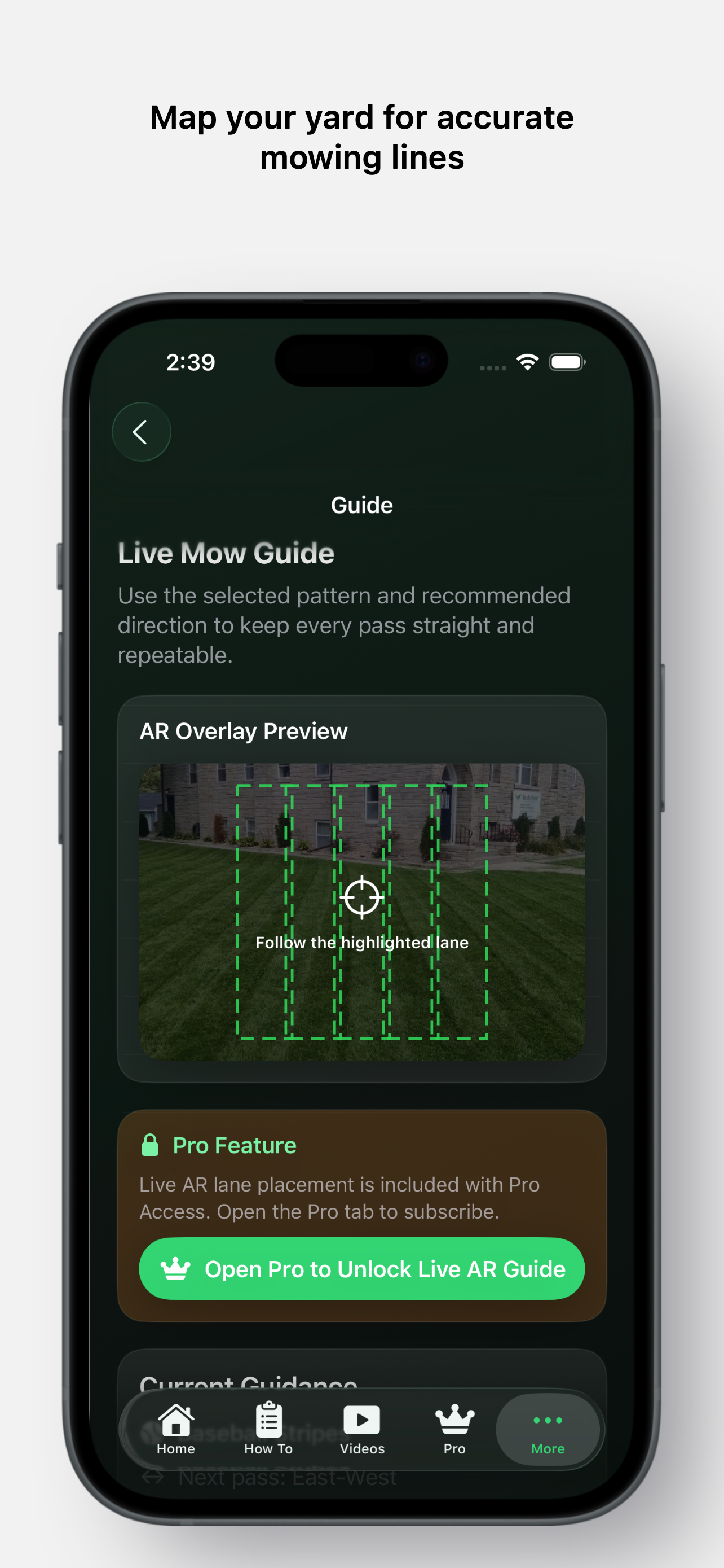 Lawn Envy 1