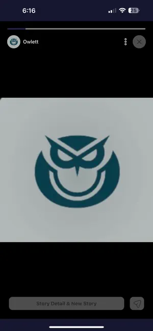 Owlett screenshot 2