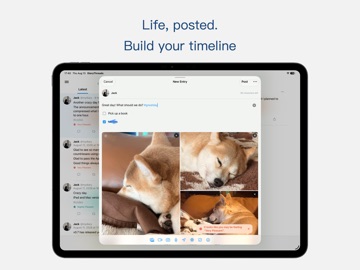 DiaryThreads: Timeline Journal iPad screenshot