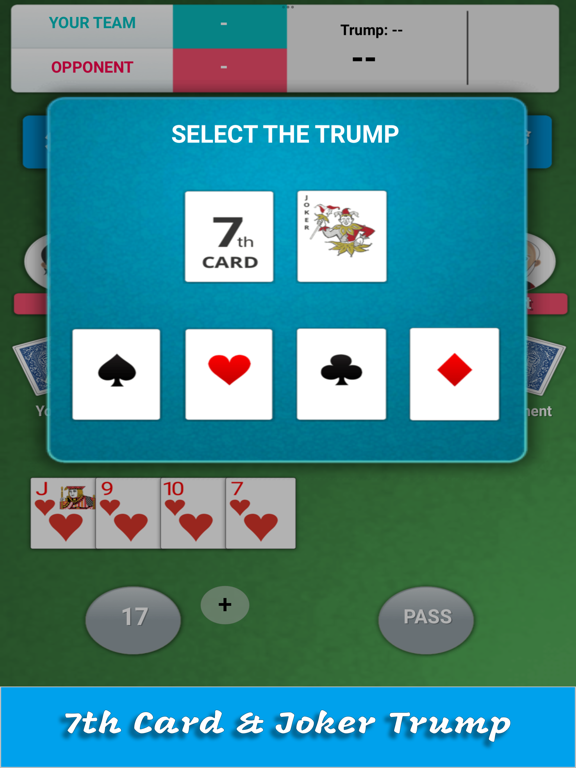 Screenshot #6 pour Card Game 29
