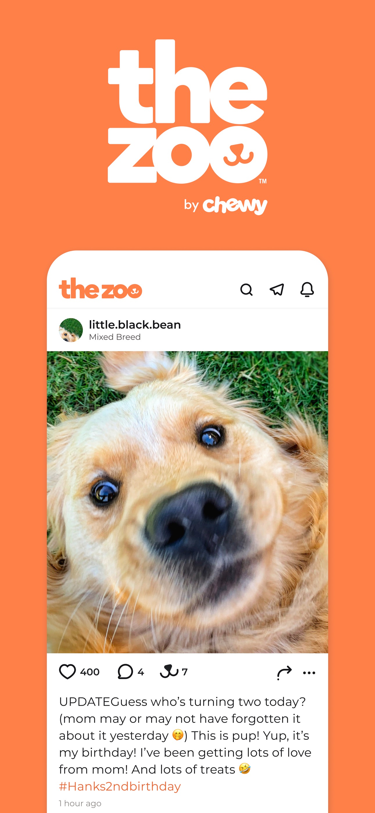 Zoo by Chewy - Pet Community