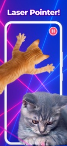 Cat Games for Cats: Fishing screenshot