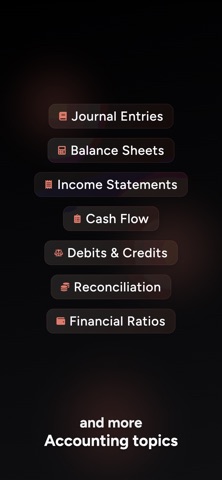 Accounting AI Solver Helper Screenshot 6 of 6