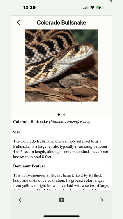 Wildlife of Colorado screenshot-5