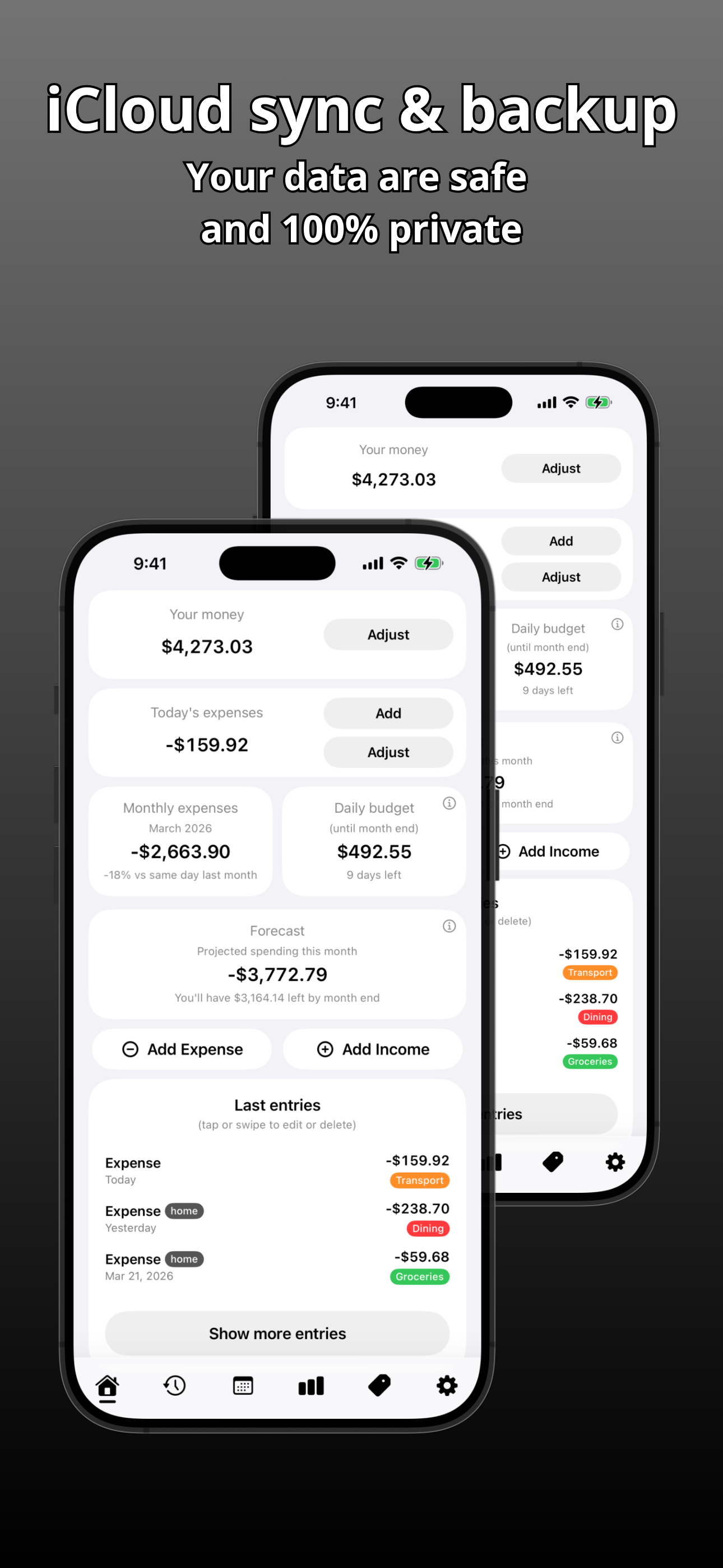 Finisive - Simple Daily Budget screenshot 9