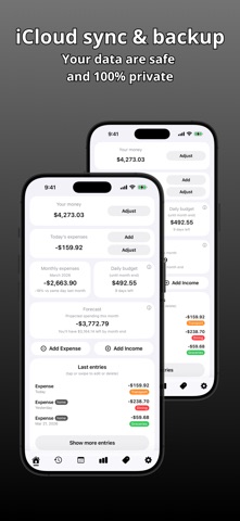 Finisive - Simple Daily Budget screenshot
