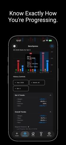 Iron Journal screenshot