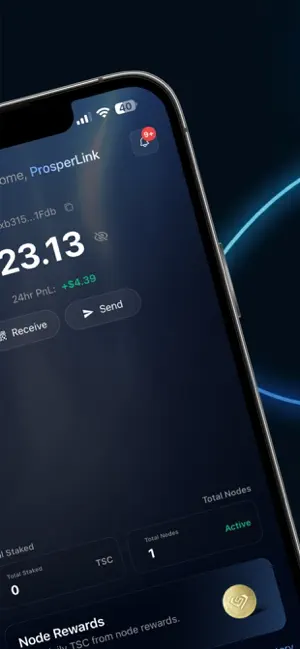 Prosper Wallet 2026 screenshot 3