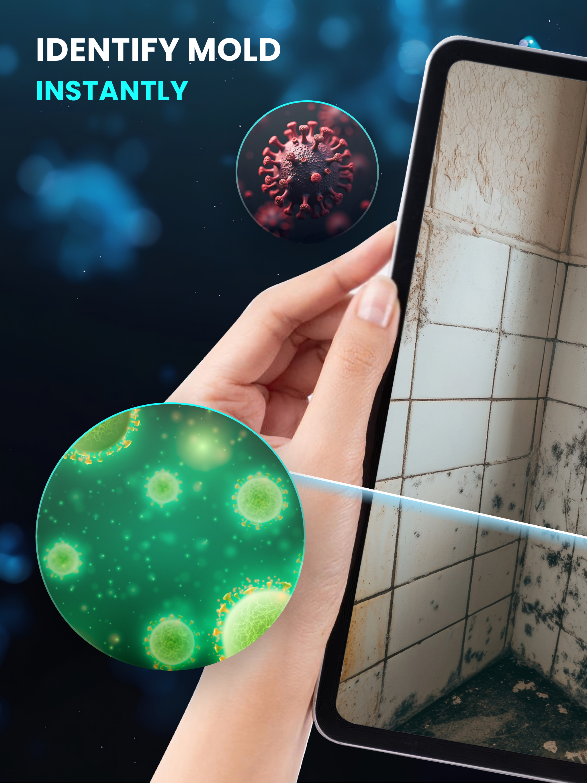Mold Identifier Mold Detector