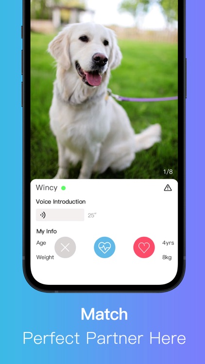 Rizz Connect Play,Chat Peek Up