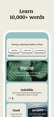 VocabMint 2
