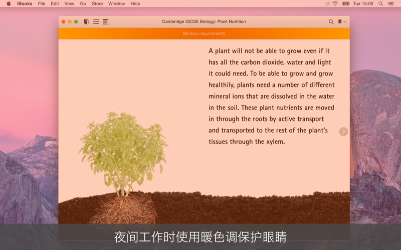 NightTone - 蓝光过滤护眼工具 screenshot