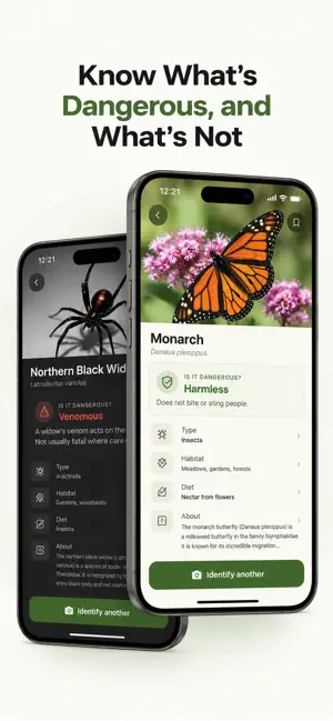 Buggy: Bug Identifier screenshot 3