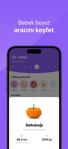 MomMentor - Hamilelik Takibi iPhone screenshot 4