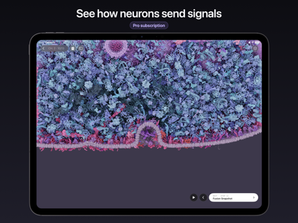 CellWalk screenshot 13