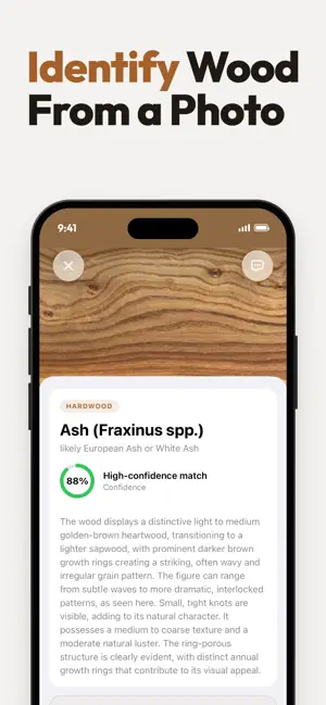 Wood Identifier - Grainy screenshot 2