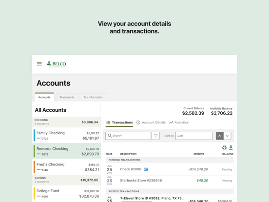 Screenshot #6 pour Belco Money Manager