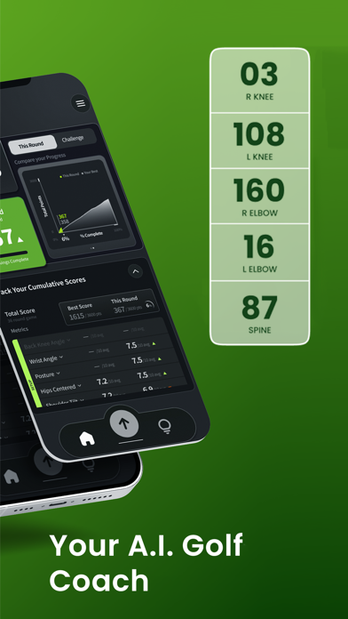SwingPro Analyzer Screenshot