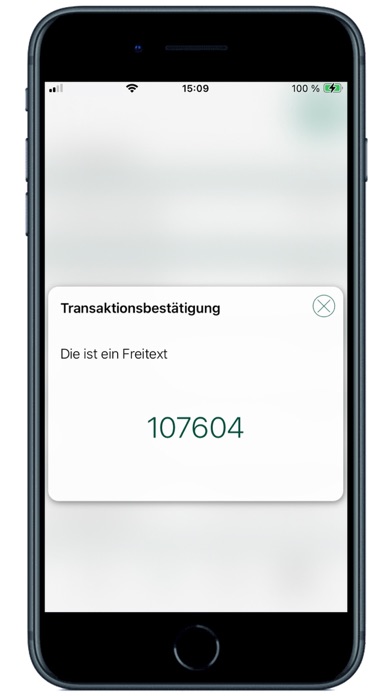 OLB appTAN Screenshot