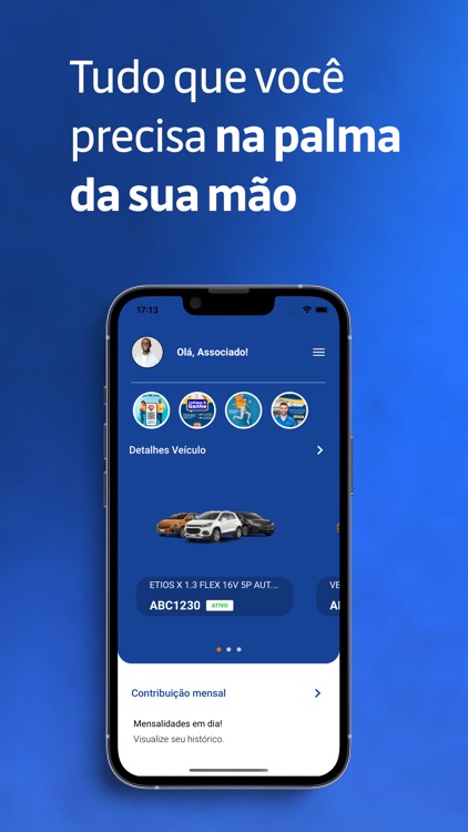 Big Proteção Veicular