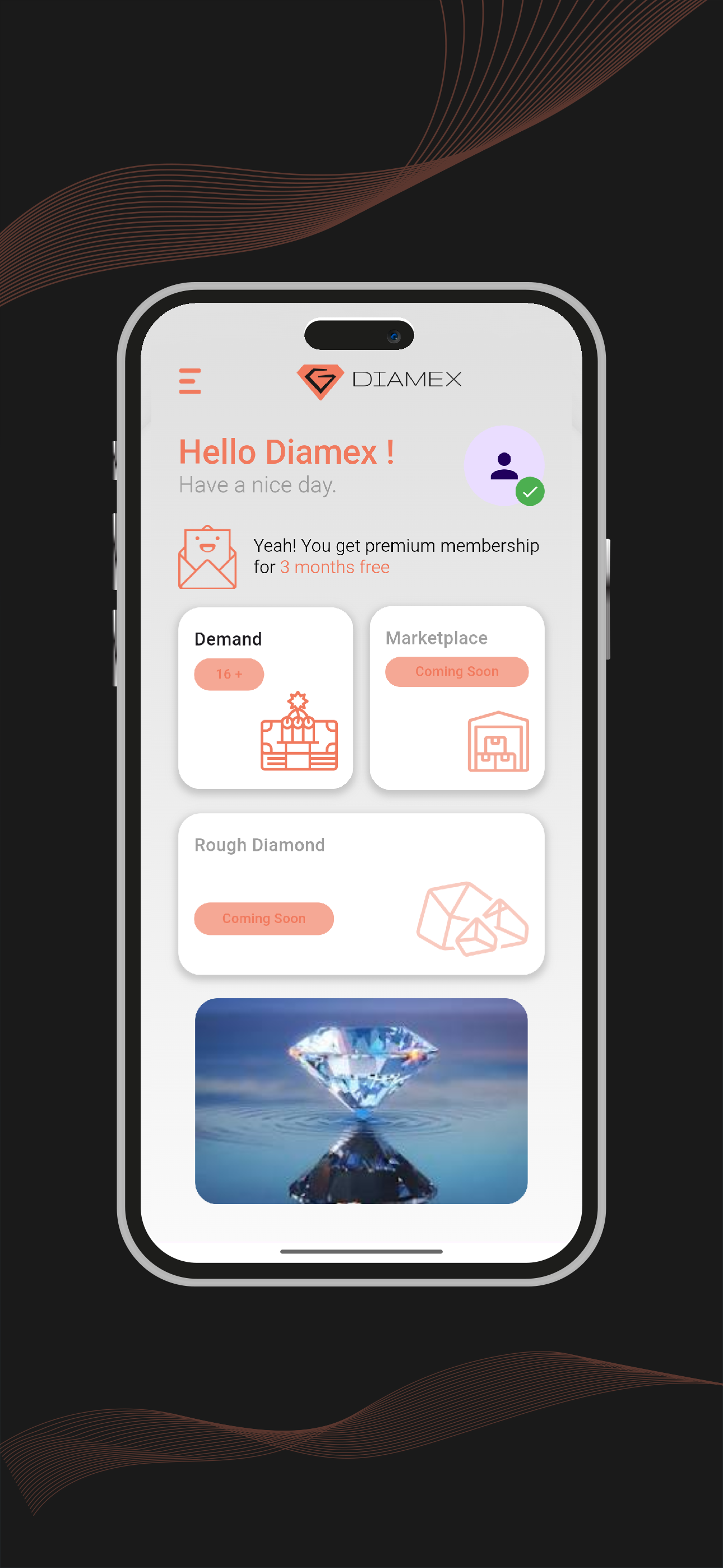 Diamex screenshot 2