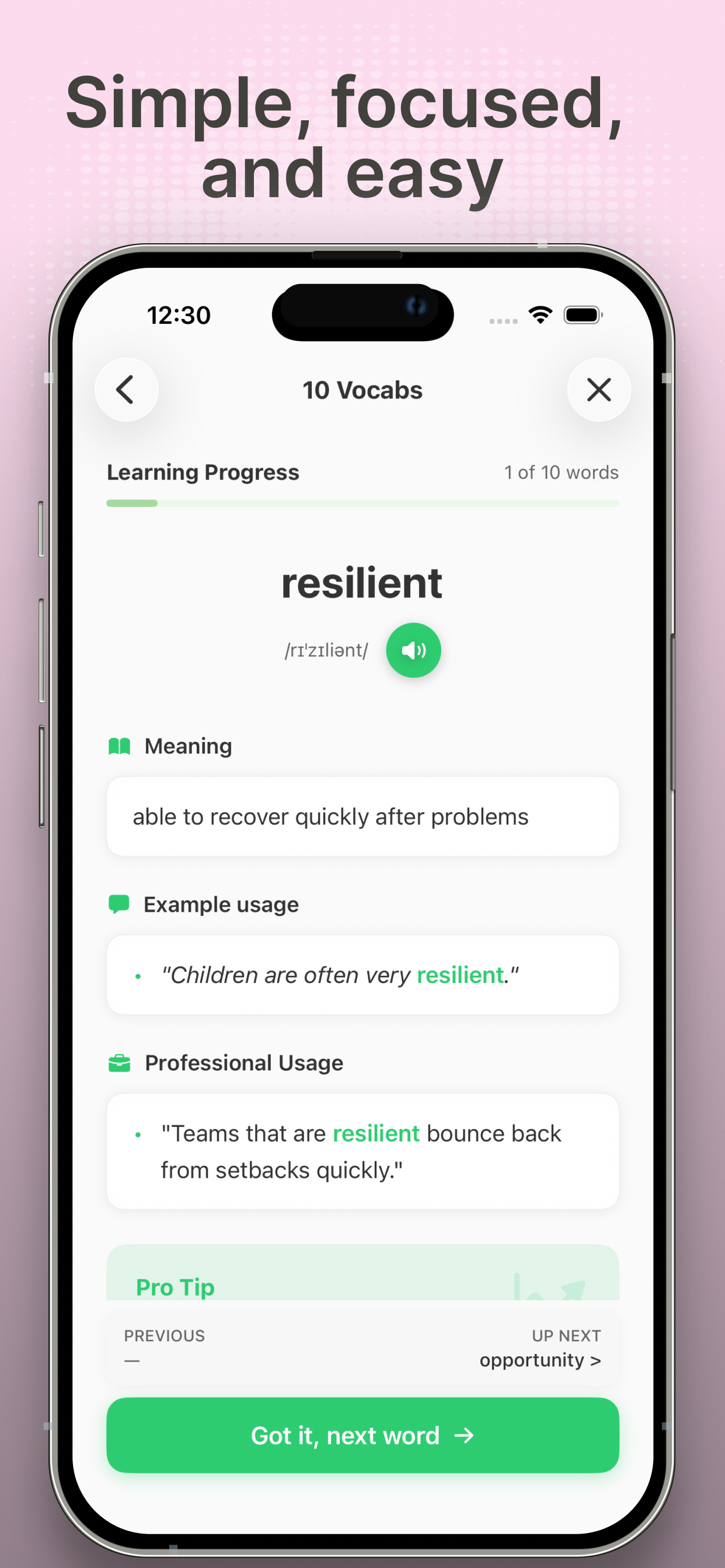 10 Vocabs-Silicon Valley Daily