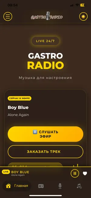 Gastro Radio screenshot 1