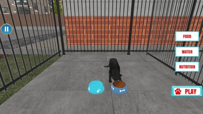 Animal Shelter - Pet Rescue Screenshot