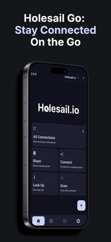 Holesail Go screenshot