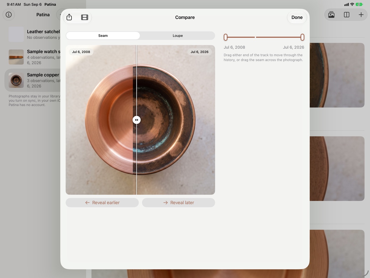 Screenshot 10 of Patina: Object Diary