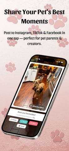 Pawfect Shot screenshot