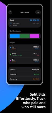 BudgetHog Screenshot 4 of 6