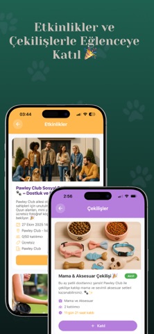Pawley Club: Pet Otel & Kamera screenshot