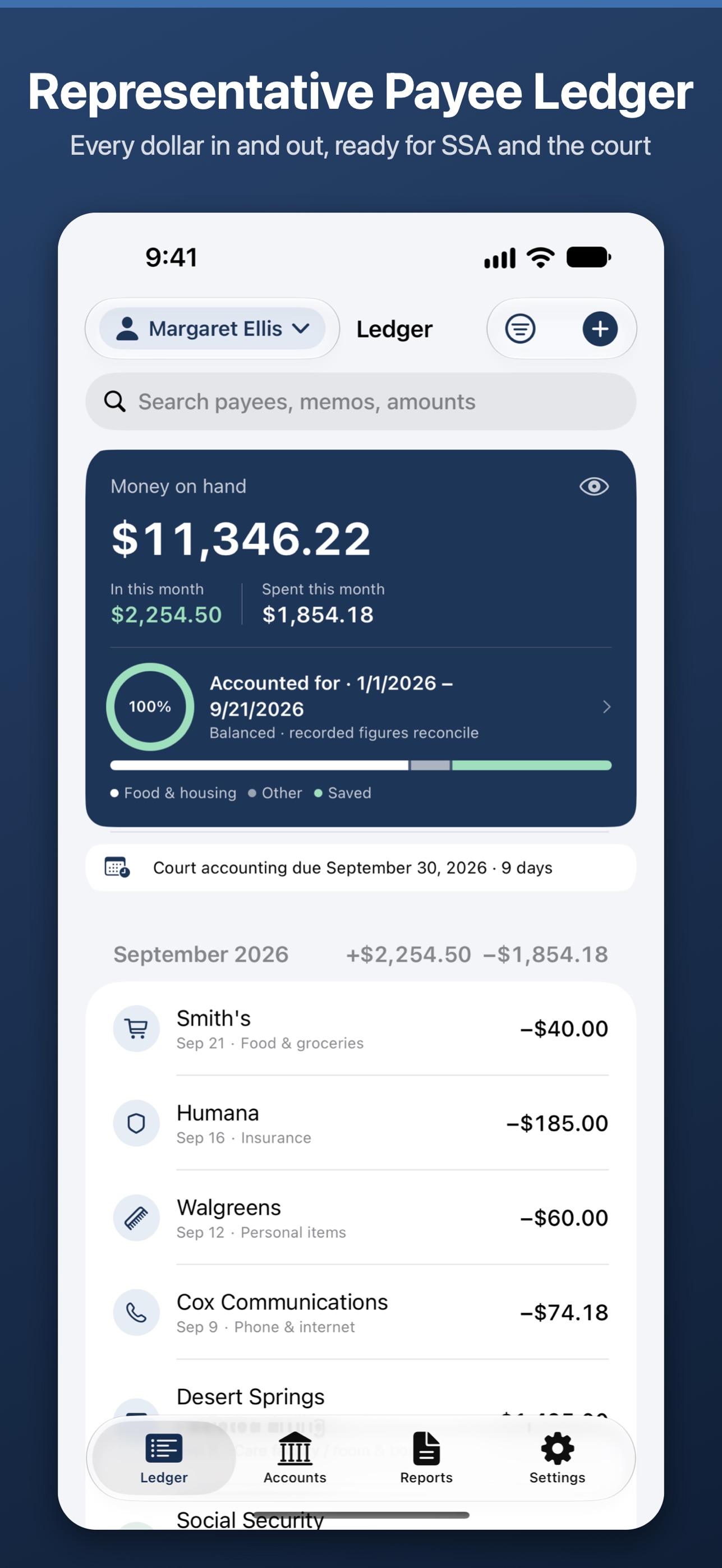 Screenshot 1 of Representative Payee Ledger