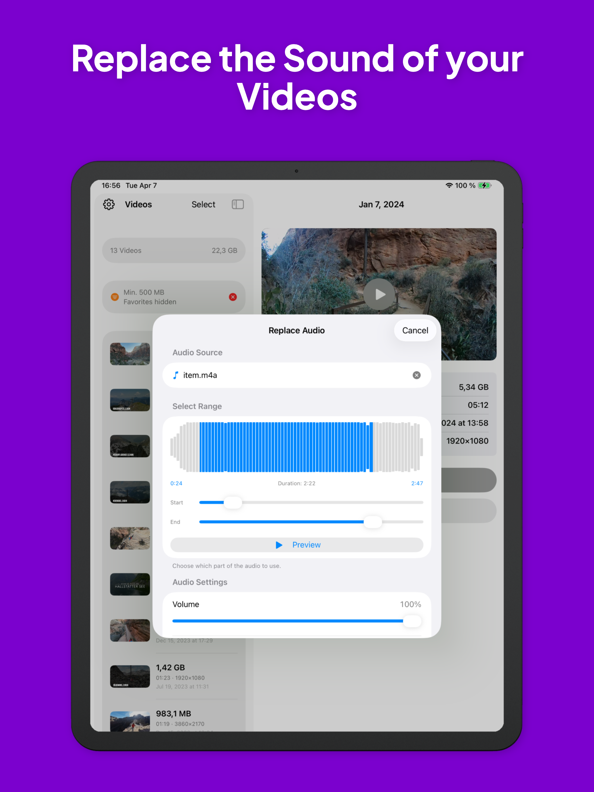 Video Silencer