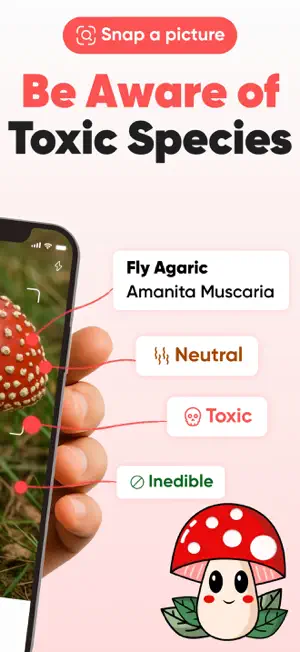Mushroom Identification: AI ID screenshot 2