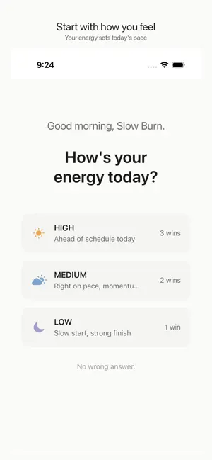 DailyWins: Energy Planner screenshot 1