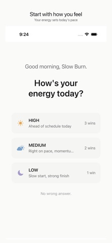 DailyWins: Energy Planner screenshot